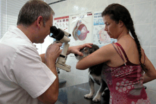 Medipet